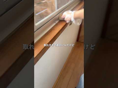 ダイソーの「過炭酸ナトリウム」で窓枠の黒ずみ掃除したら楽し過ぎた