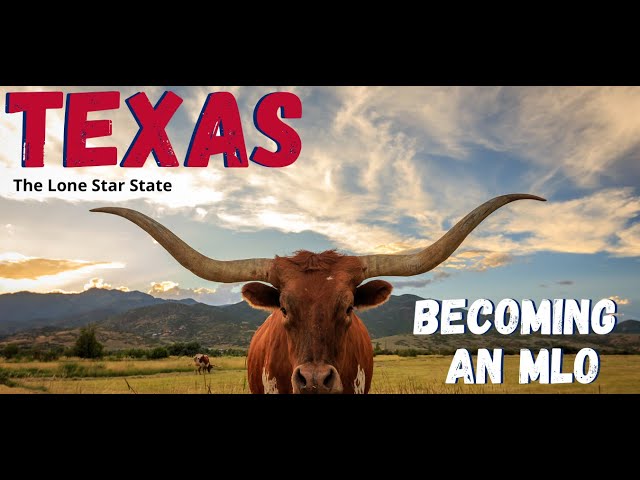 How to Become a Mortgage Loan Officer in Texas