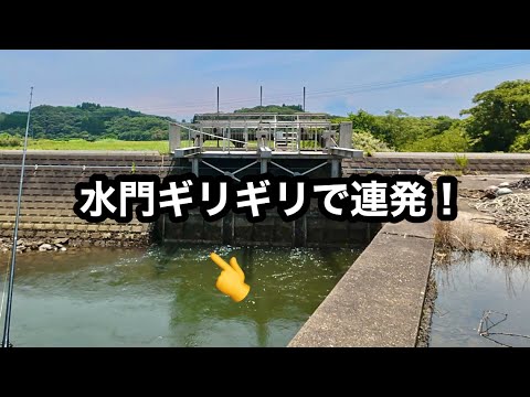 ここにルアーを投げてみると…