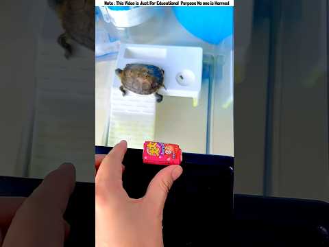 She Tried to Save Her Candy😱🍭💧 #shorts #funny