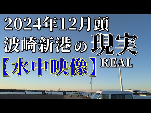 【水中映像】2024年 12月頭 茨城県 波崎新港の現実(REAL)コマセをまいていたがどのタナに魚がいるのか速攻わかっちゃった話/後半はハゼが可愛い#波崎新港 #釣り