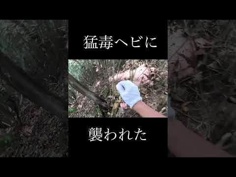 おろちんゆーさん、それ危ないって
