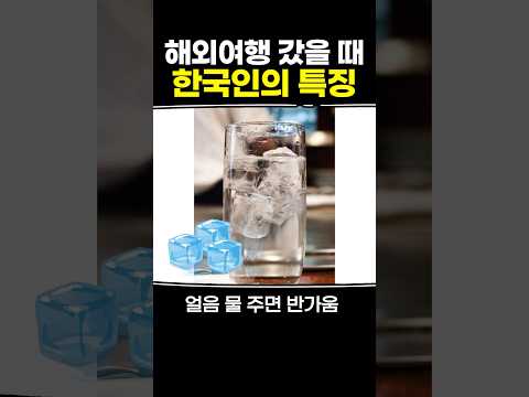 해외여행 갔을 때 한국인의 특징