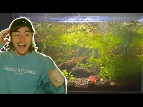 Fish Biologist Reacts to YOUR Aquarium