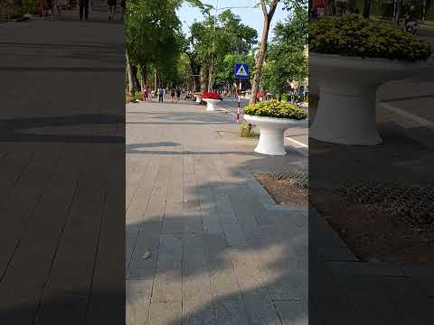 越南河內環劍湖環湖步道很漂亮 市中心的綠地#越南#河內#環劍湖#必訪#老街#公園#網美景點#東南亞#自由行