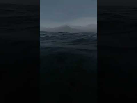 What Did You See👀💀