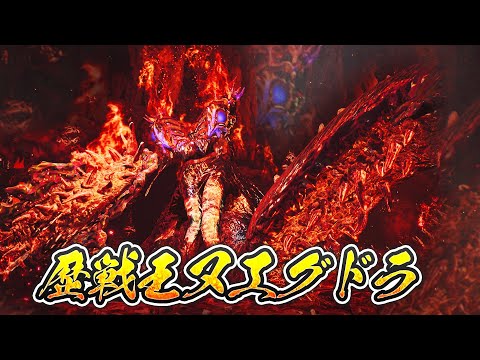 歴戦王ヌ･エグドラと戦う放送ガンランスで