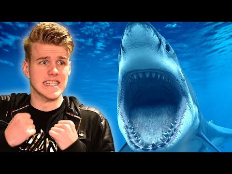 ATTACKED BY A SHARK! (FISHING IN VR) - UCh7EqOZt7EvO2osuKbIlpGg