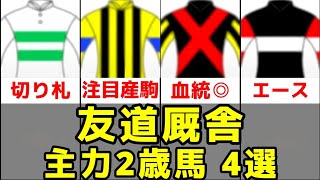 【POG2025-26】友道厩舎の主力2歳馬4選【マジョレルブルー/ブラックオリンピア】