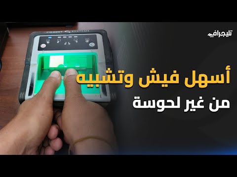 طريقة عمل فيش وتشبيه من البيت.. شرط وحيد لازم تعرفه والسعر في المعقول