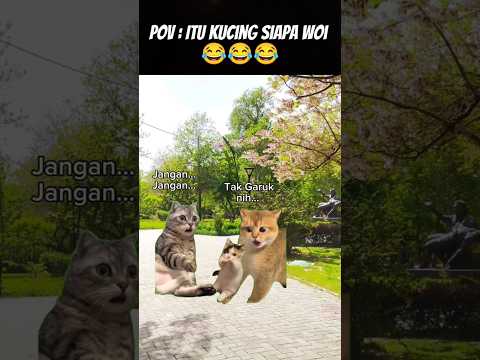 Pov : Tak Garuk Nih 😂 #meme #kucing #cat #animation #fypシ