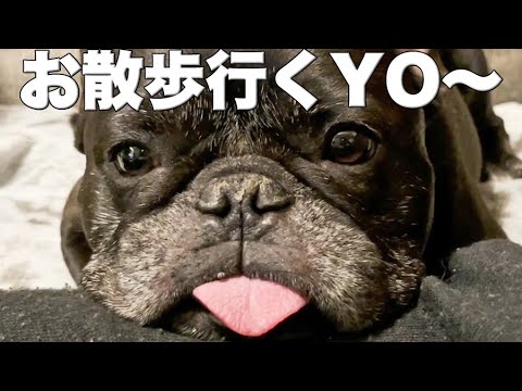 声をかけたら愛犬がすごい速さで起きてきたw