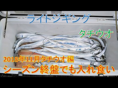 秋が絶好のシーズン！ライトジギングでタチウオが入れ食い！