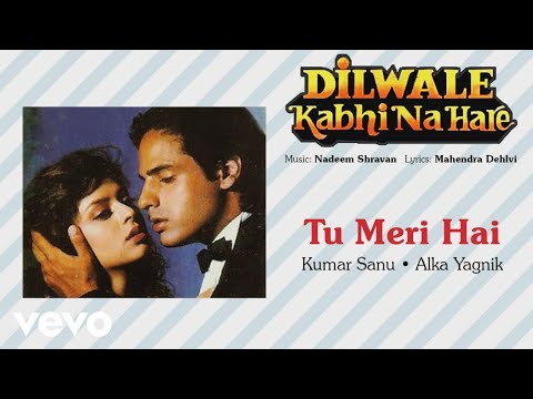 Official Audio Song | Dilwale Kabhi Na Hare | Kumar Sanu |Alka Yagnik| Nadeem Shravan - UC3MLnJtqc_phABBriLRhtgQ