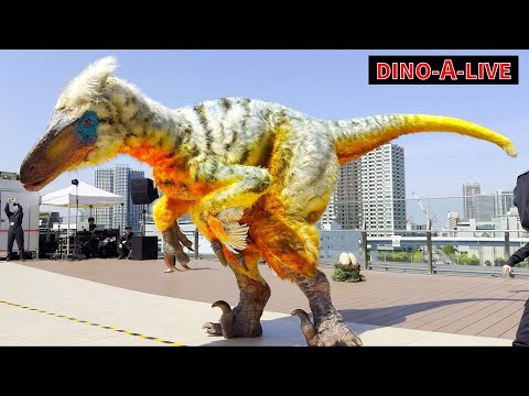 【4K】DINO-A-LIVE in 有明ガーデン ユタラプトル登場／DINO-A-LIVE Utahraptor Dinosaur show Ariake Garden