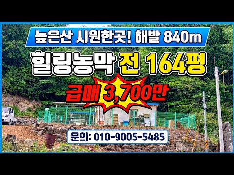 높은산 시원한바람불어오는곳 해발840 힐링농막 앞시야탁트인곳 전164평 매3700만 010-9005-5485 매번60714