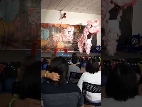 tết trung thư 2025