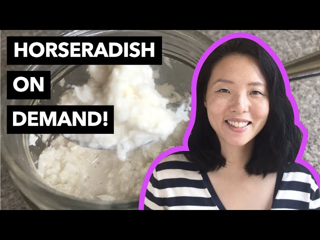 How to Preserve Horseradish?