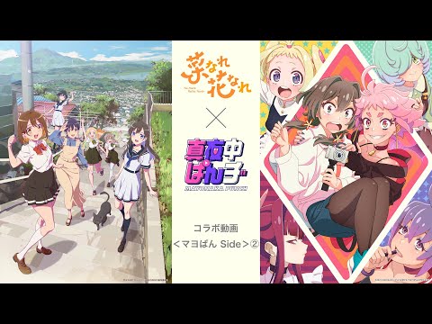 「菜なれ花なれ」×「真夜中ぱんチ」コラボ動画〈マヨぱん Side〉②【今年の夏はP.A.WORKS!!】