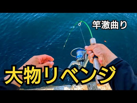 【新ダイソーロッド】でリベンジ！竿が激曲りの75cm越えの大物が2本!!