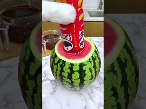 watermelon #cat #pets #cute #funny #summer