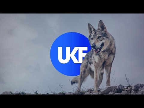 Torqux - The Wolf - UCfLFTP1uTuIizynWsZq2nkQ