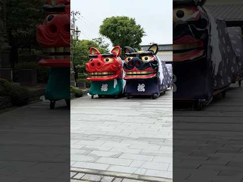酒田まつり：桜と松の獅子パックンで華やかな祭典を楽しもう サムネイル