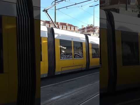 Tram action in Cais do Sodré #subscribe #views #trams