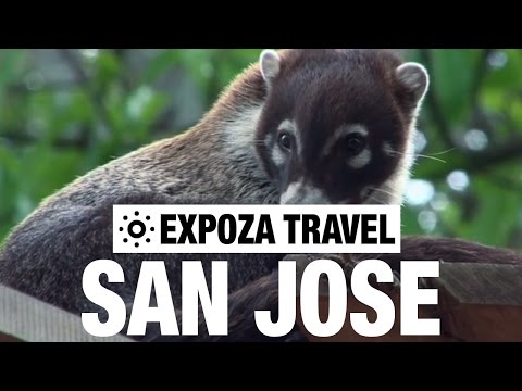 San Jose Vacation Travel Video Guide - UC3o_gaqvLoPSRVMc2GmkDrg