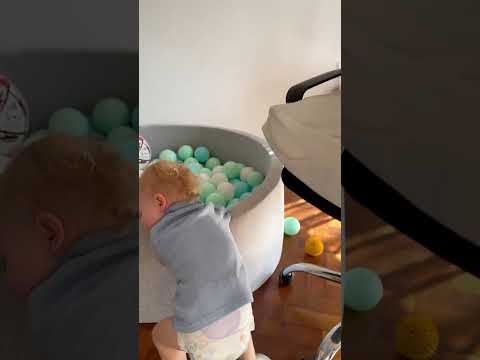 mi amigo invencible #munchkincat