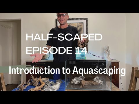 Half-Scaped Episode 14 - Introduction to Aquascapi Join the Florida 'Scape team and I as we go over some basics on freshwater Aquascaping. We will be '