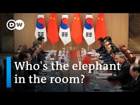 S. Korea, Japan, China summit: What's NOT on the agenda? | DW News