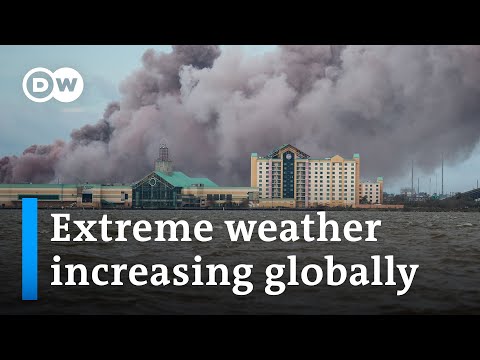 Why extreme weather is becoming a truly global threat | DW News