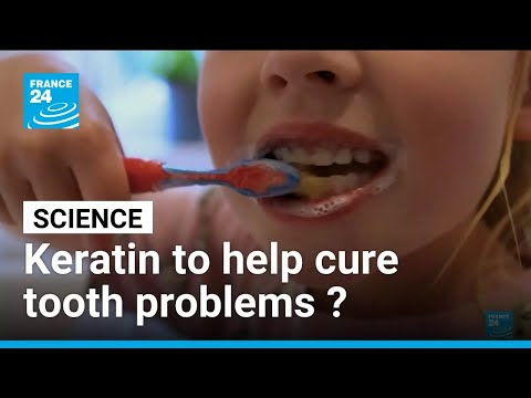 Could keratin help heal tooth problems? • FRANCE 24 English