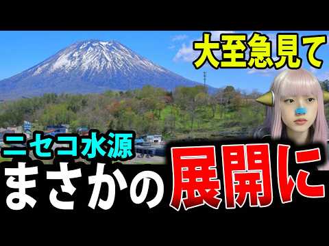 ニセコ 水源 が消える 危機に署名を! メガソーラー で日本が消える! 外国人 土地買収 で 自然破壊 を許すな