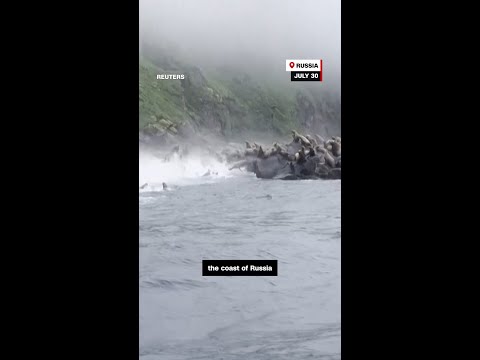 How an earthquake causes a tsunami