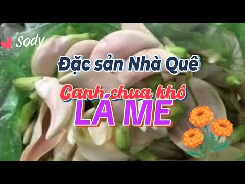 MÓN CANH CHUA🍀LÁ ME NON