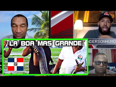 DESACTUALIZANDO - SERPIENTES BOA DESCUBIERTA EN RD - MANNY RAMIREZ Y VLADIMIR GUERRERO JR