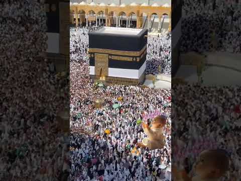 Masha allah