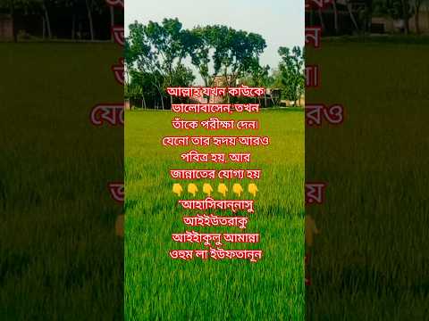 তুমি কি জানো, আল্লাহ কেন তোমাকে কষ্ট দেন❓#কষ্ট #পরীক্ষা #বিশ্বাস #mizanur_rahman_azhari #ইসলাম