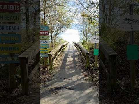 Tybee Island, Savannah GA #shorts #travelshorts