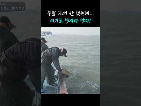 <strong>이게</strong> 낙지 <strong>잡는</strong> 재미지 재미! #shorts