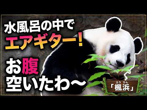 水風呂の中でエアギター🎸 お腹ペコペコな楓浜 (ふうひん)