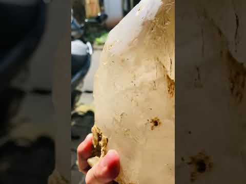 Chào cả nhà buổi sáng vui vẻ  #quartz  #gem  #gemstone  #thachanh