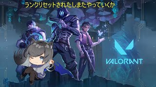 【 #初見さん歓迎 】 　本日もニウアクアとやります　ゴールドに戻りたい　概要蘭必ずチェック！！　視聴者参加型
