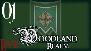 DaC - Woodland Realm: 01, Legolas the Destroyer of Worlds (Livestreamed)