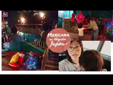 mi Hermano opina sobre el espanol de Mauro/Navidad en Mexico/Mexicana en Niiata Japon