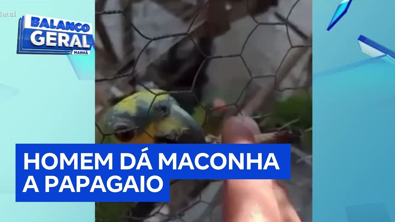 Homem é preso após oferecer maconha a papagaio em vídeo que viralizou nas redes