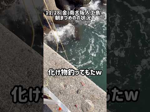 11/28(金)南大阪人工島朝の状況#ショアジギング #釣り #青物 #fishing #アウトドア #エギング #泳がせ釣り #ヒラメ#アジ#サビキ釣り #釣果#混雑#ジャックアイ#プロモーション