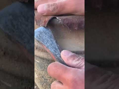 UUAAaUUU!! 😱🐍🏺 #viralvideo